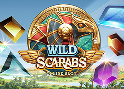 Wild Scarab